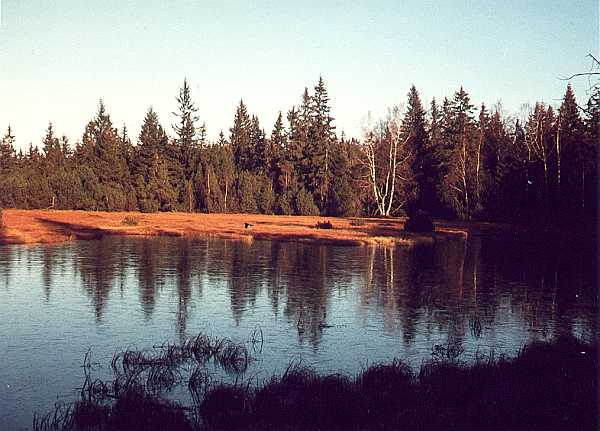 Hohlohsee im Herbst