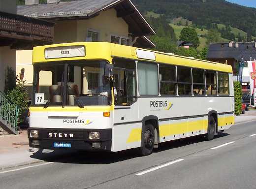 Saalbach-Hinterglemm: Steyr