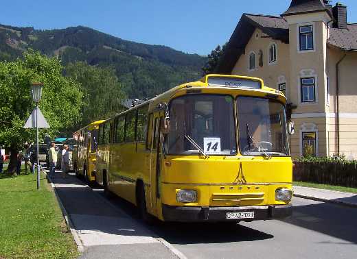 Auch die deutschen Busse sind dabei