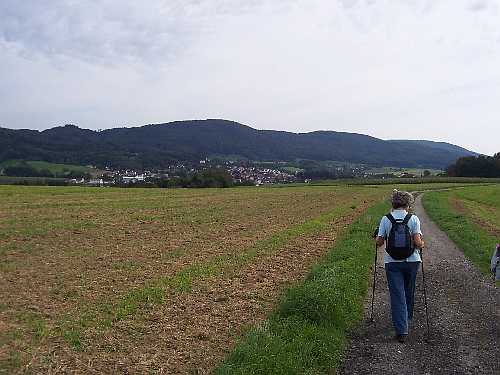 In den Feldern bei Fürth im Odenwald