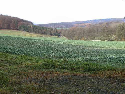 Blick ins Biddersbachtal Richtung Langenzell