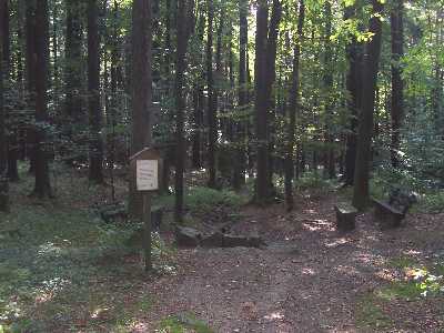 Gersprenzquelle
