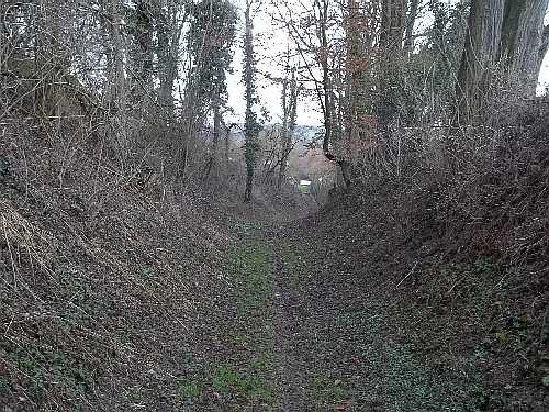 Hohlweg bei Waldangelloch