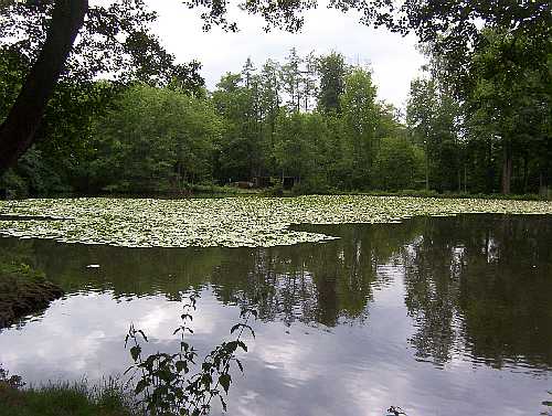 Ludwigsteich