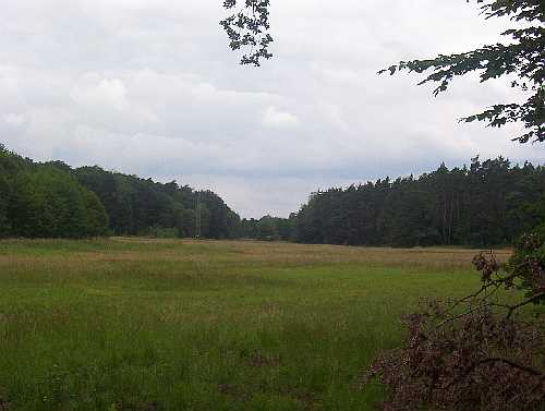 Mörsbacher Grund