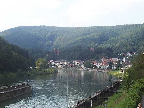 Blick auf Neckarsteinach