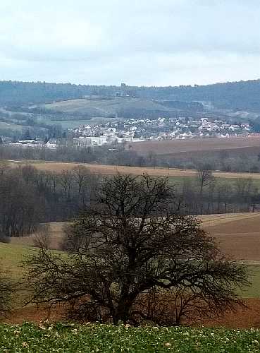 Blick zur Ravensburg