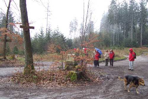 Wegspinne an der Wolfsgrube