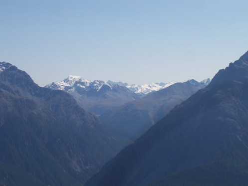 Im Hintergrund glänzt der Ortler