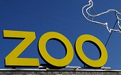 Der 3-Wecker-Zoo. (Bild: EPA)