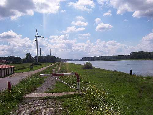 Am Rhein beim Hofgut Maxau