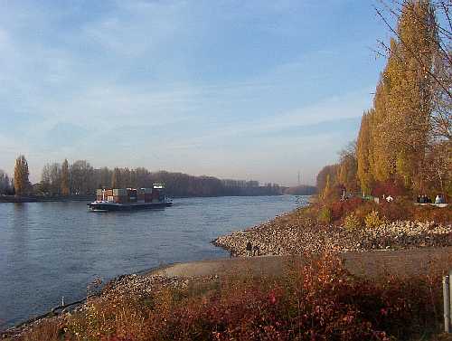 Am Rhein bei der Brühler Kollerfähre