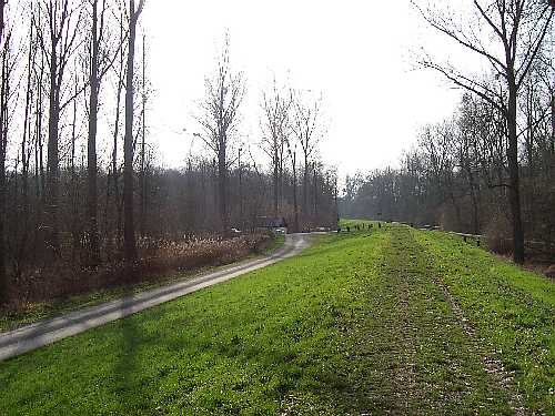 Auf dem Rheindamm bei Eggenstein