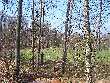 Idyllische Wiese an der Lauter