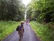 Wandergruppe auf dem Dammweg