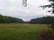 Mörsbacher Grund