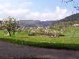 Frühling bei Bernbach