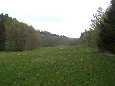 Im Moosalbtal