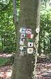Markierungsvielfalt
