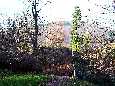 Ruine Reichenstein