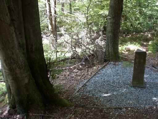 Dreiländerstein im Odenwald