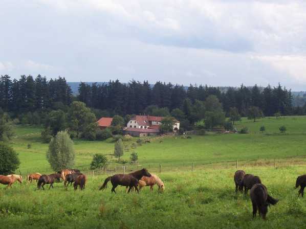 Metzlinschwander Hof